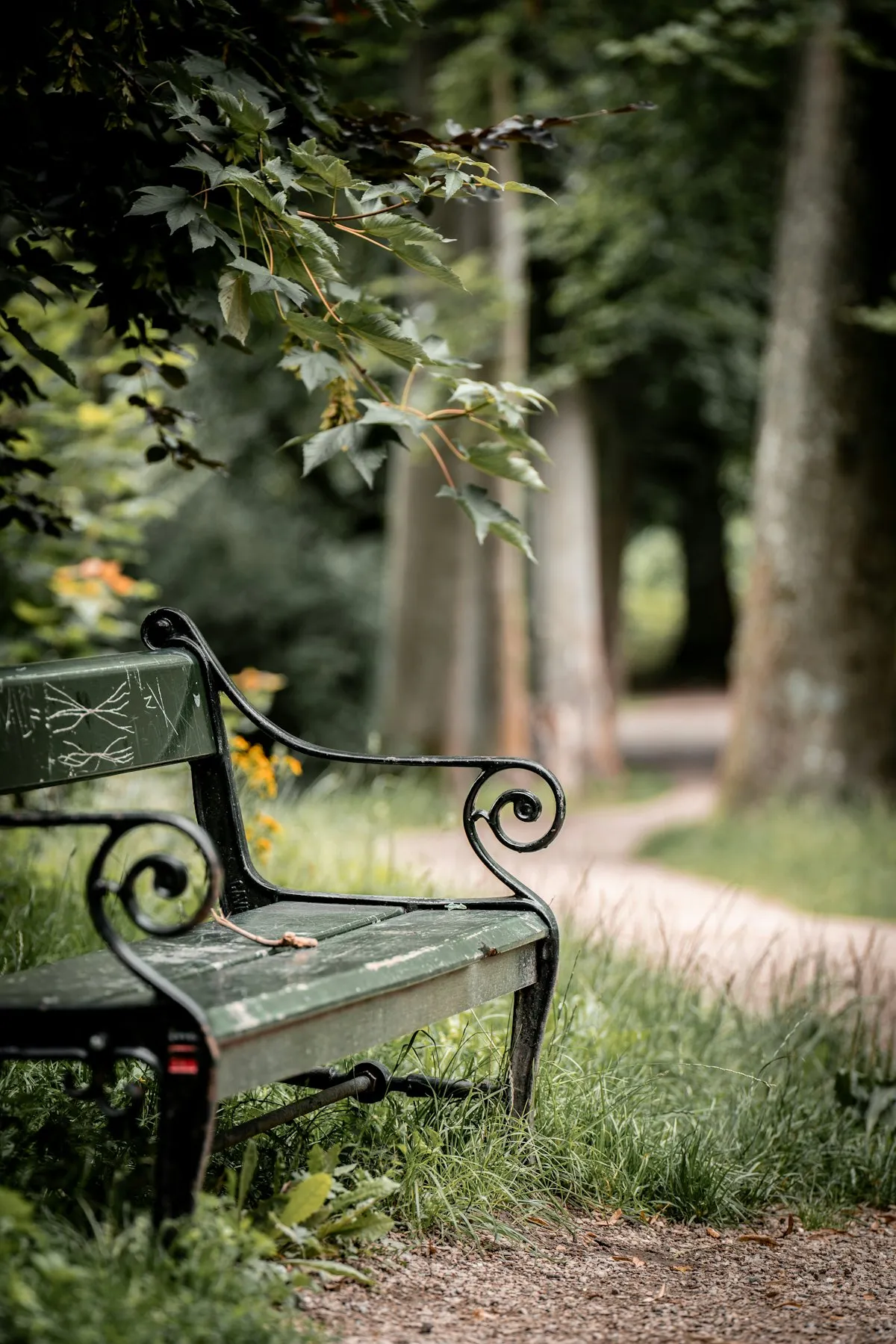 Park & Bahçe